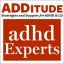Klausieties “Koledžas pārejas ceļvedis pusaudžiem ar ADHD” ar Terēzi Maitlendu, Ph.