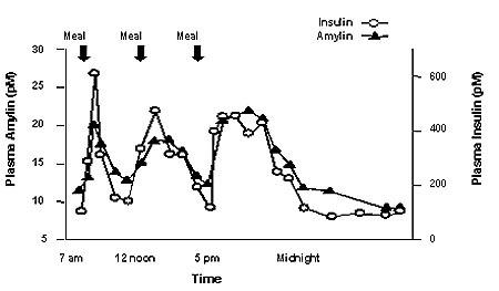 Amilīna un insulīna sekrēcijas profils veseliem pieaugušajiem